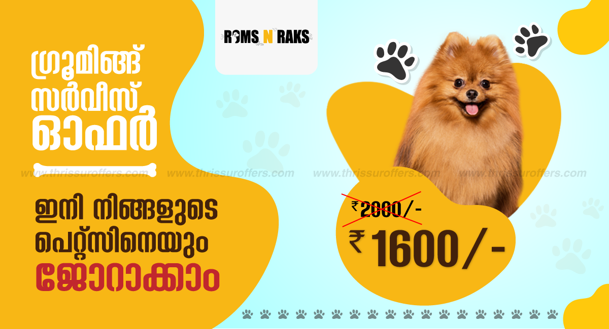 Grooming Service Offer - Chembukkav