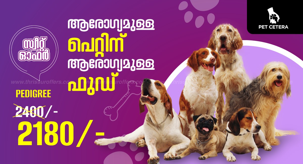 Pedigree -Dog Food  - Thiruvilwamala